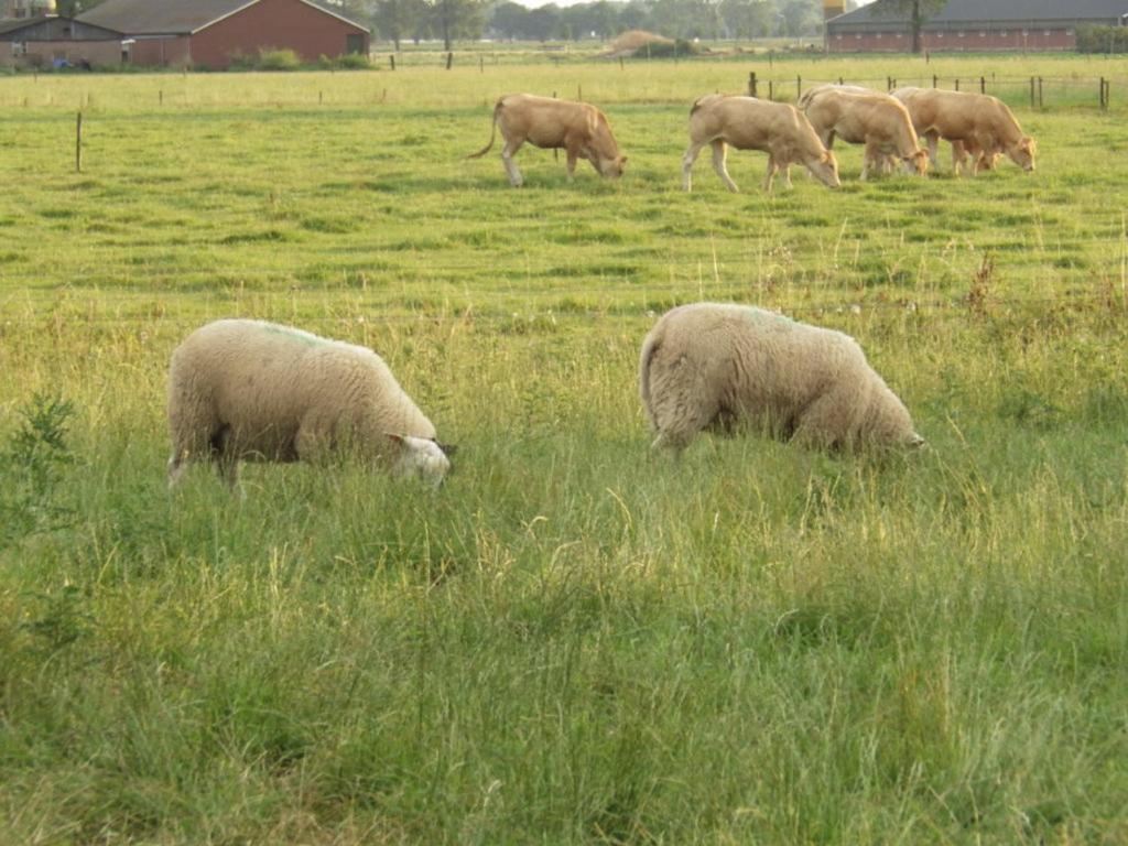 Landrust Apartman Horssen Kültér fotó